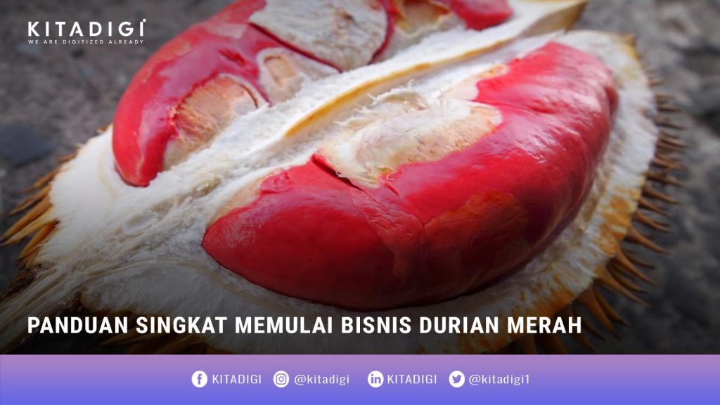 Bisnis Durian Merah